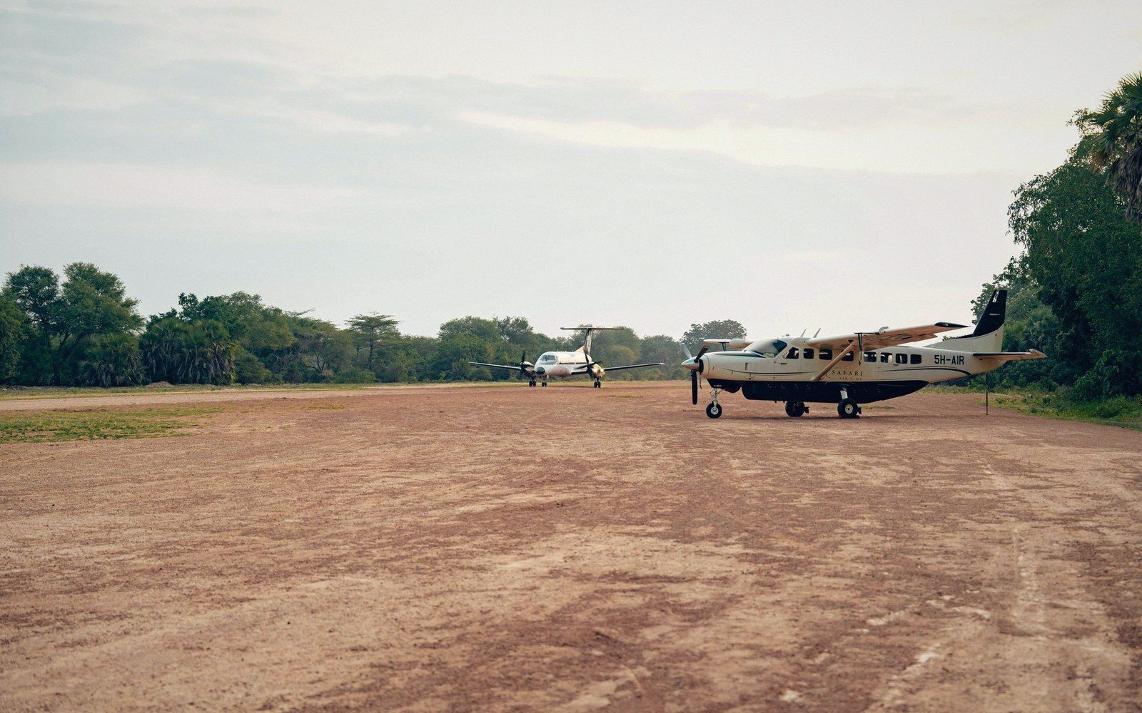 Small propeller planes parked on a dirt airstrip surrounded by bushland